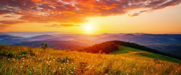 Ruslan Kumakhov's Tribute to his mum showing a glorious sunrise over rolling hills covered in wildflowers